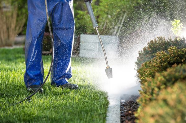Cost of Curb Cleaning in Panama City