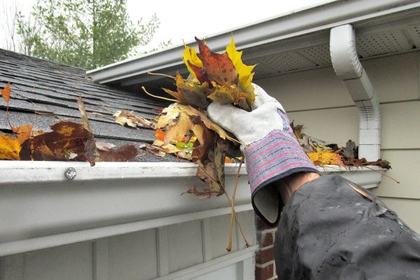 Cost of Eaves Cleaning in Panama City
