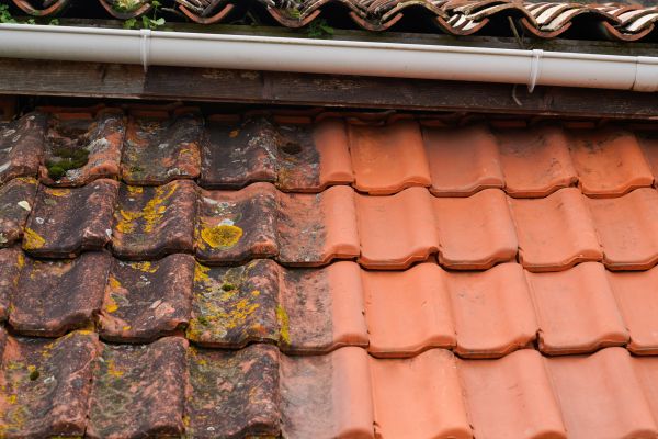 Industrial Roof Cleaning in Panama City