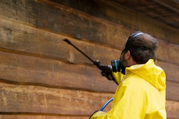 Cost of Cedar Siding Washing in Panama City